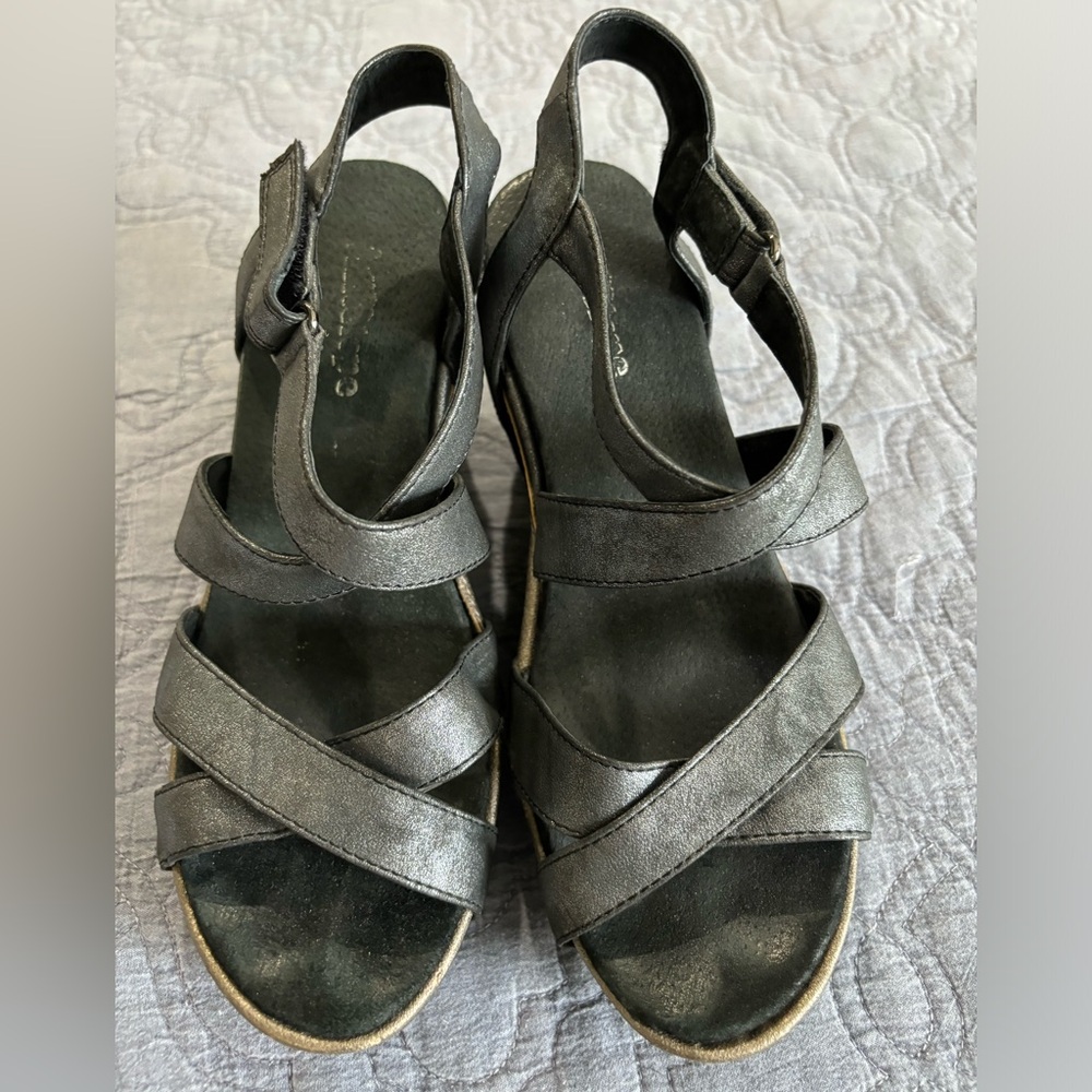 Antelope size 37 wedges